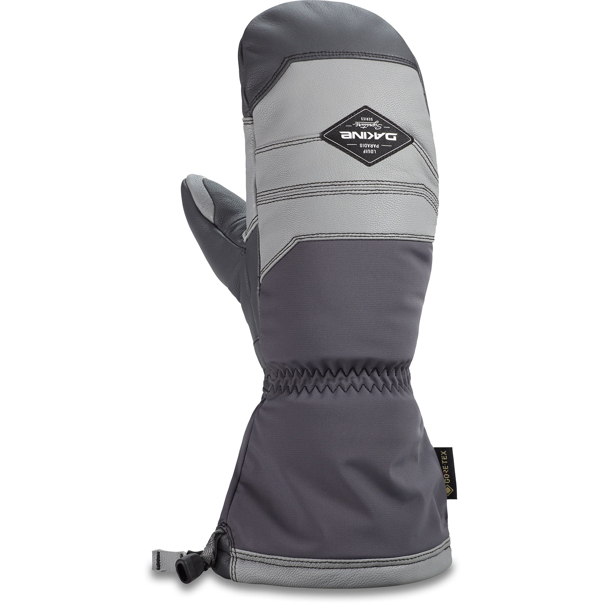 Team Excursion GORE-TEX Mitt - Louif Paradis