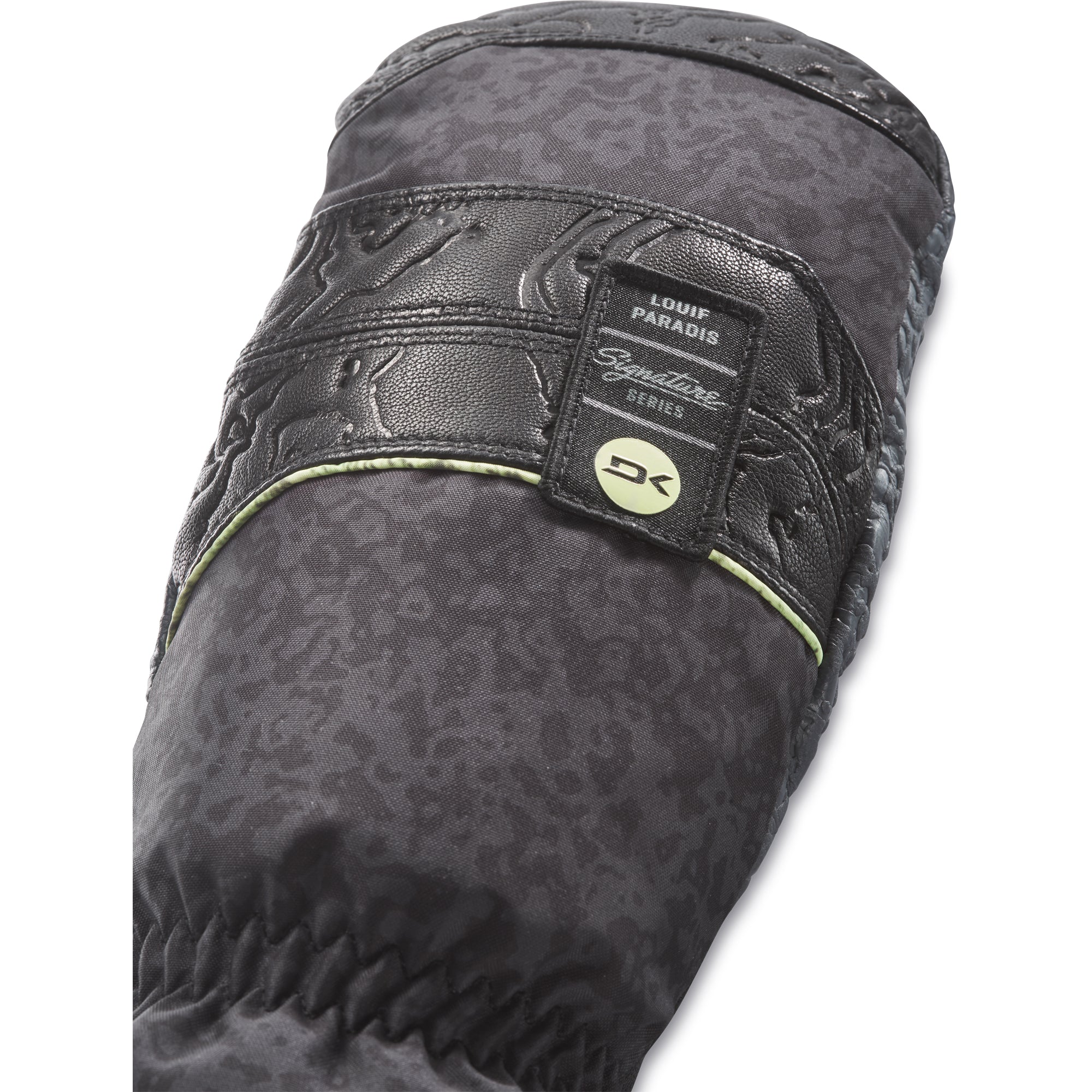 Team Excursion GORE-TEX Mitt - Louif Paradis