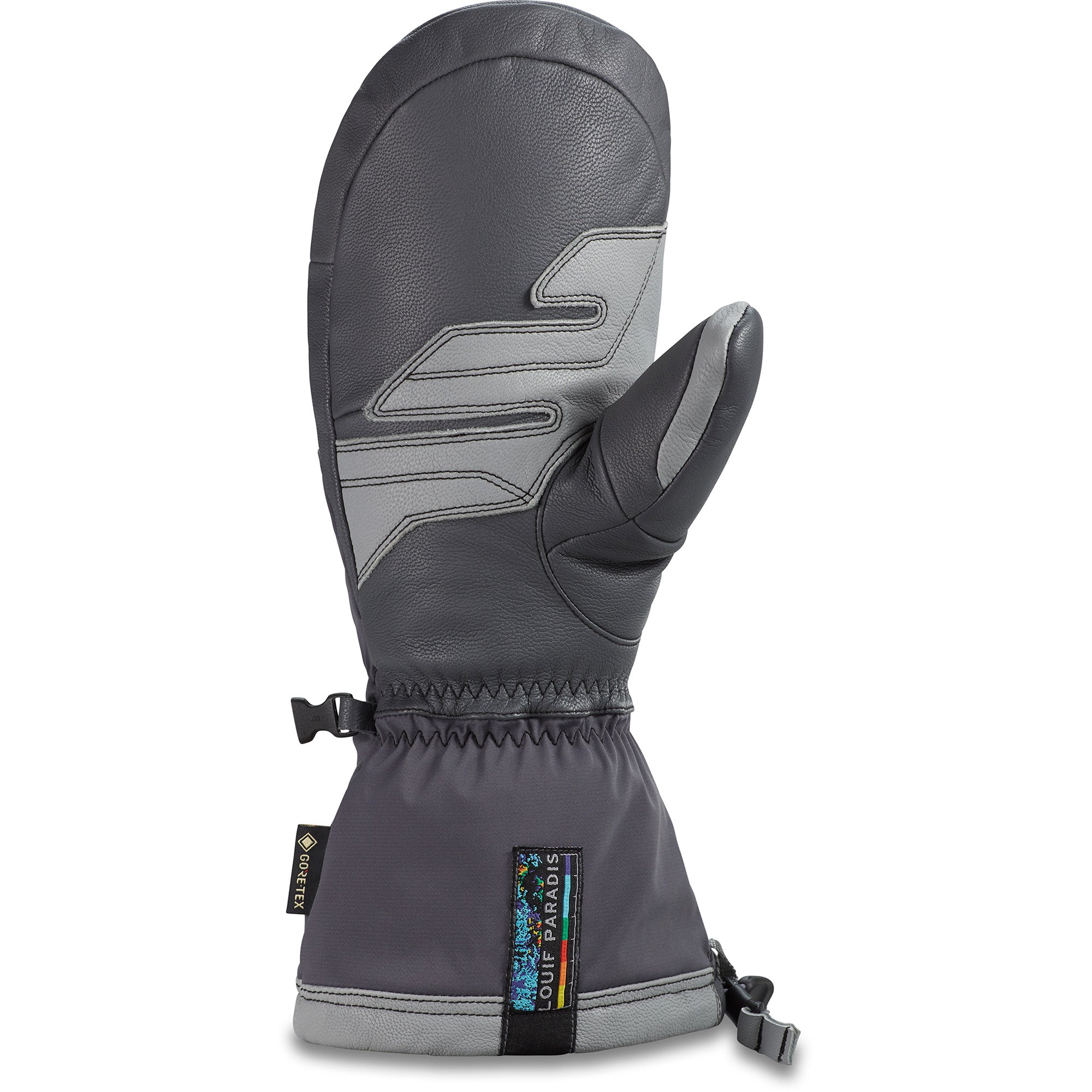 Team Excursion GORE-TEX Mitt - Louif Paradis