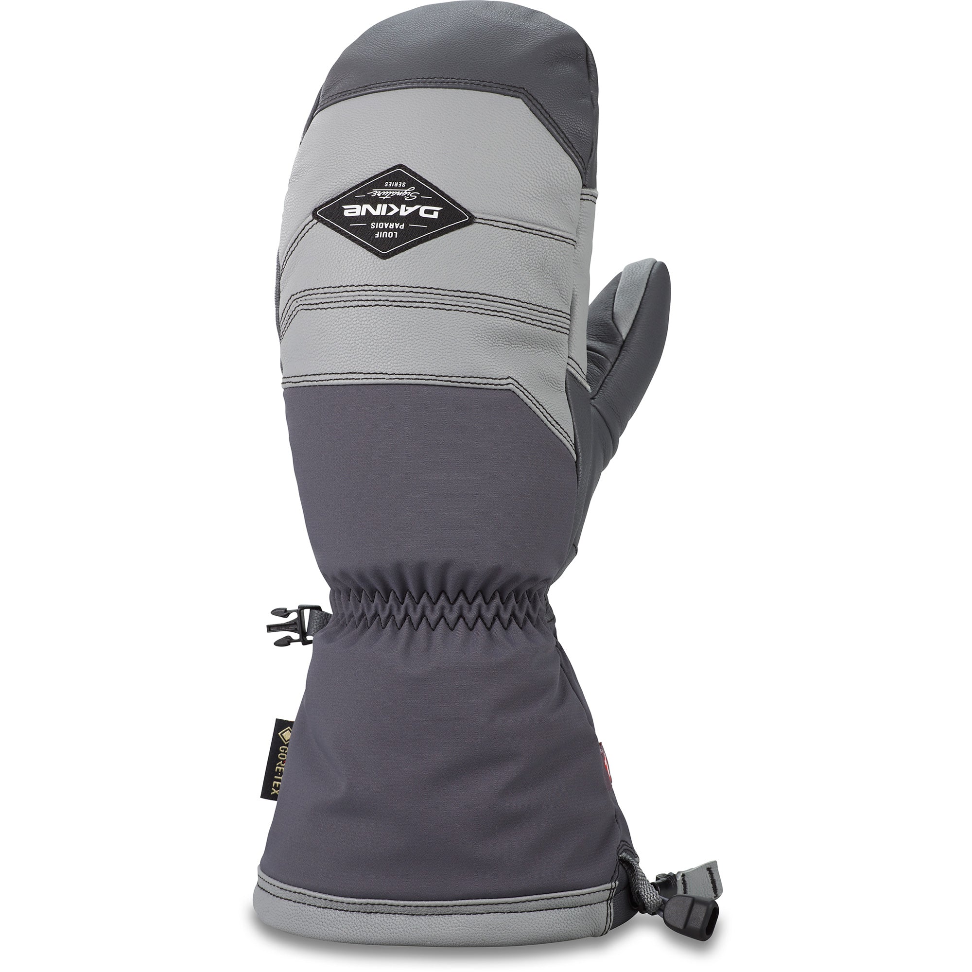 Team Excursion GORE-TEX Mitt - Louif Paradis