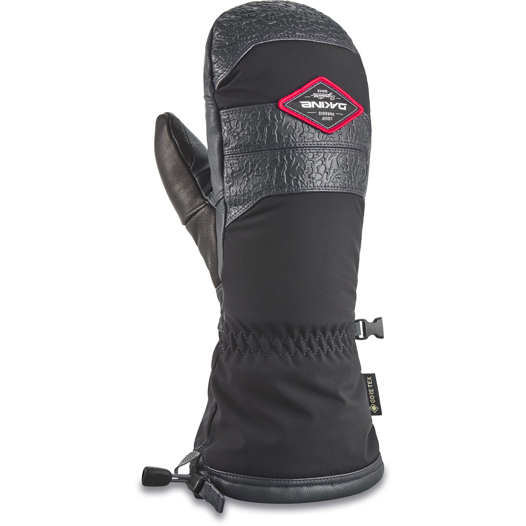 Team Excursion GORE-TEX Mitt - Louif Paradis